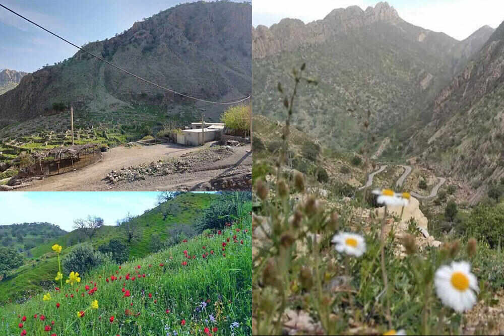 اتصال منطقه گردشگری روستای فتح از توابع شهرستان باشت به شبکه ملی ارتباطات